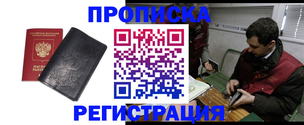 прописка поиск в Палласовке